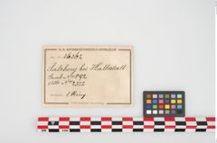 Etikett zu Bronzedrahtarmreif (NHMW-PRAE-026362)